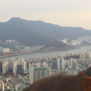 image-2